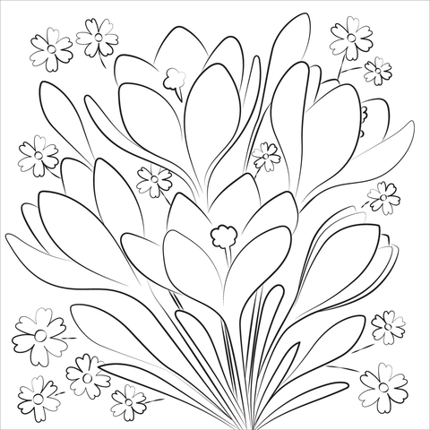 Spring Flower Coloring Page